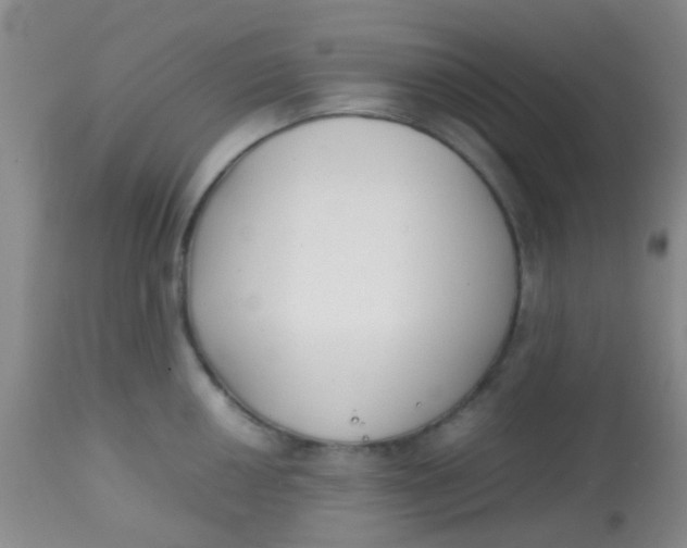 X0000113871050200910151255