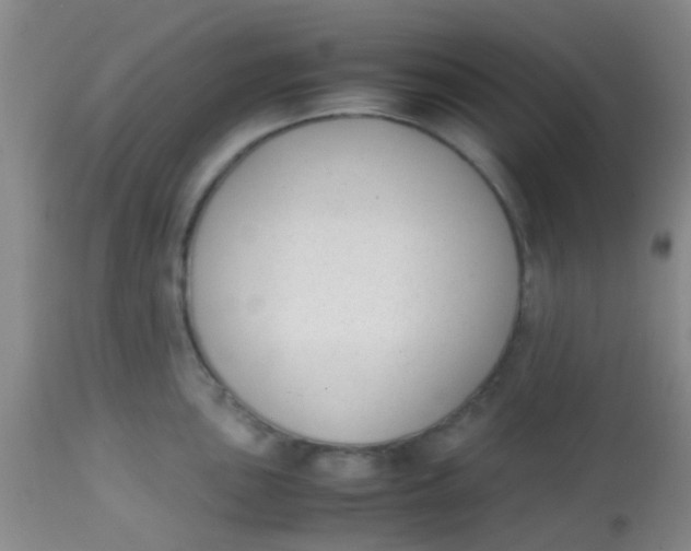 X0000113871051200910151255