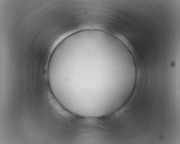 X0000113871052200910151255