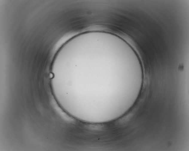 X0000113871053200910151255