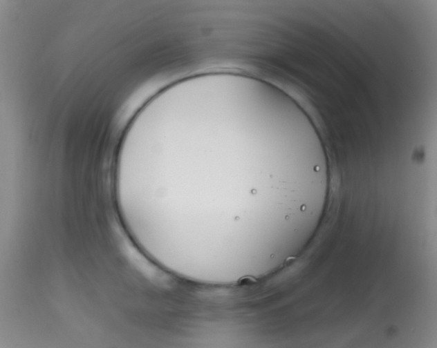 X0000113871054200910151255