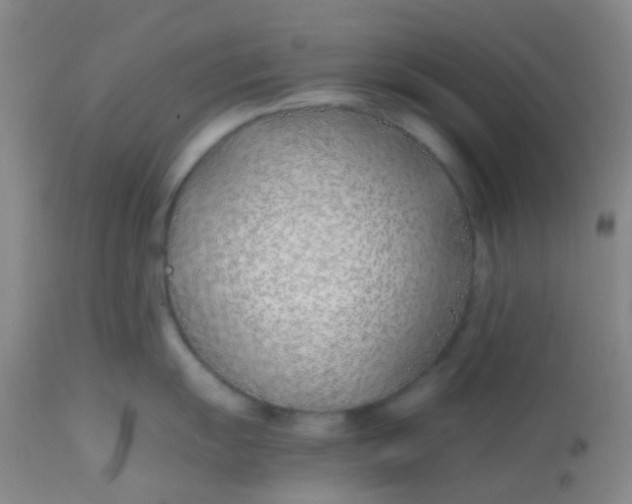 X0000113871055200910151255