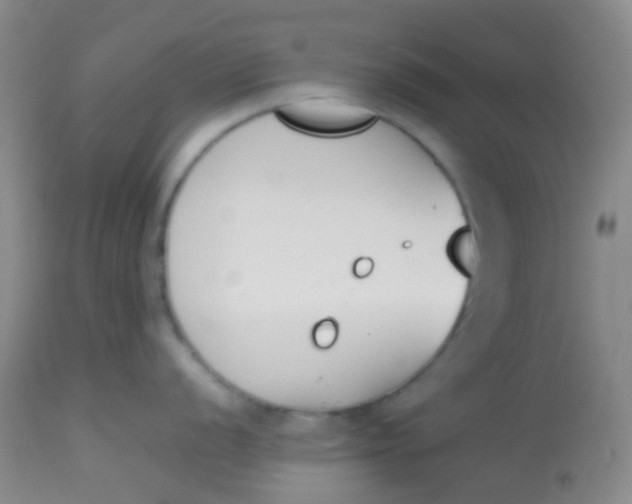 X0000113871056200910151255