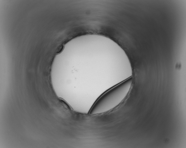 X0000113871057200910151255