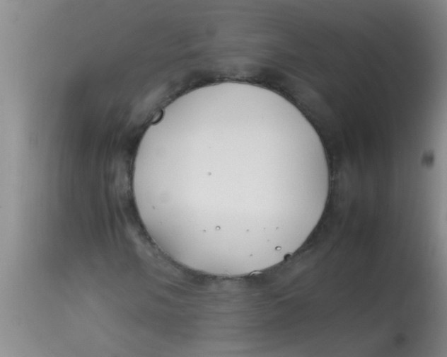 X0000113871058200910151255