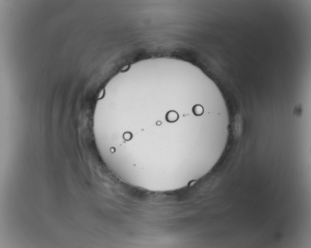 X0000113871059200910151255