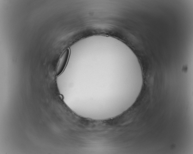 X0000113871061200910151255