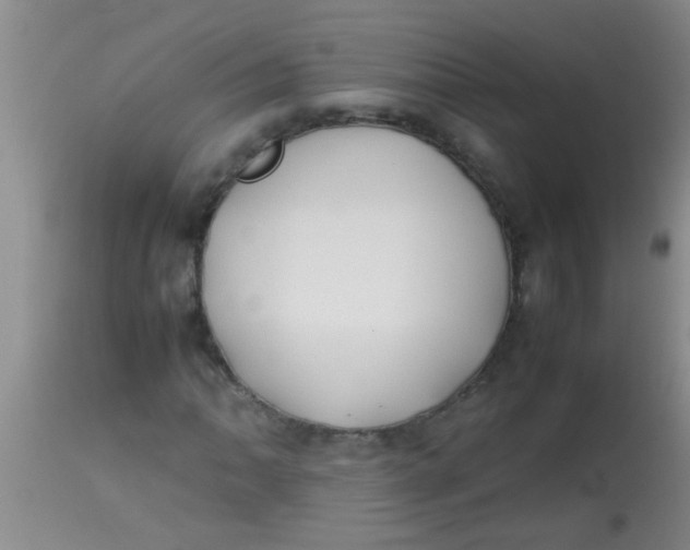 X0000113871062200910151255