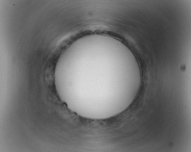 X0000113871063200910151255