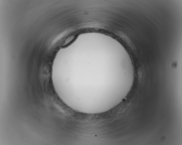 X0000113871064200910151255