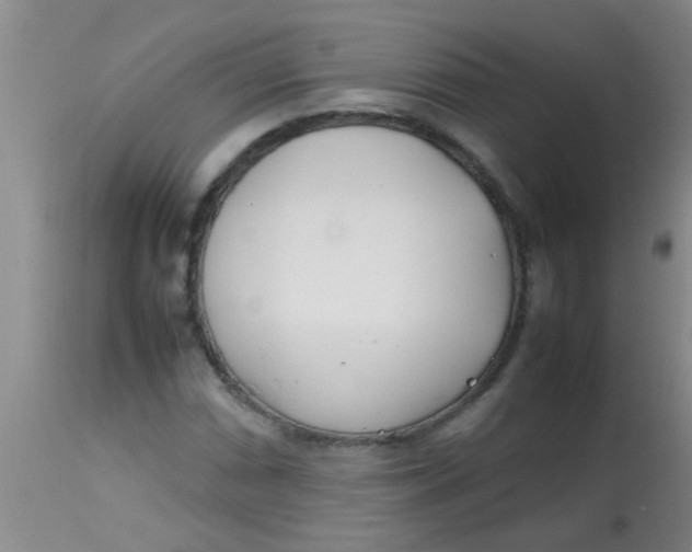 X0000113871066200910151255