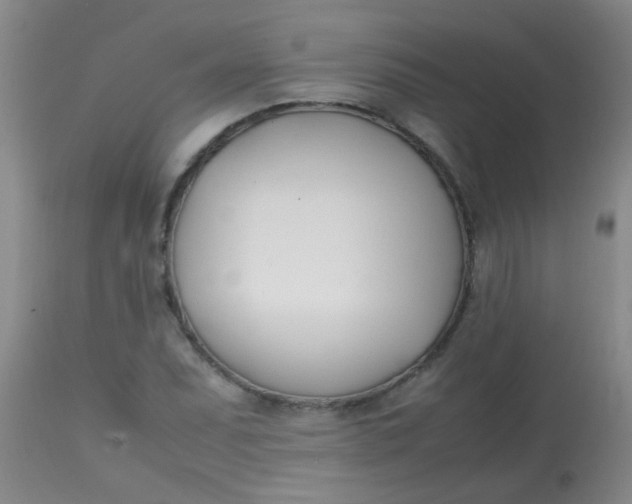 X0000113871071200910151254