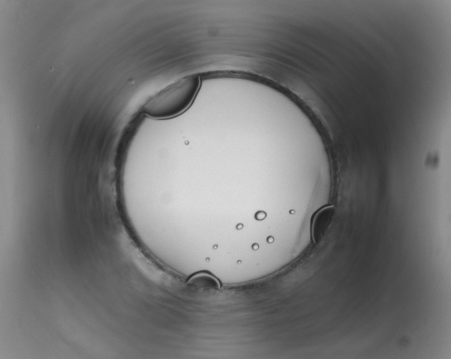 X0000113871072200910151254