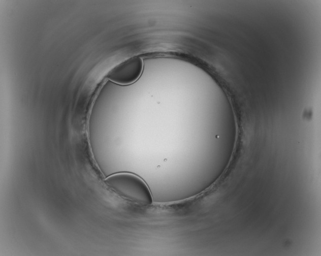 X0000113871073200910151254