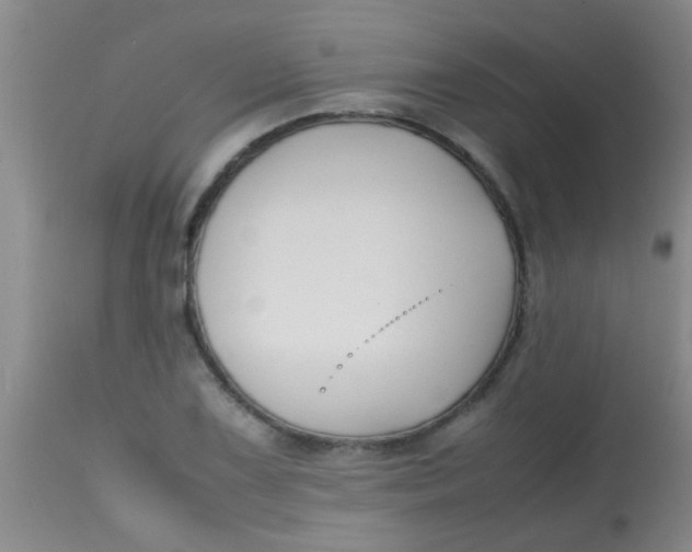 X0000113871075200910151254