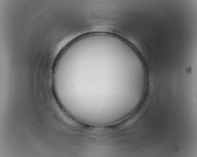 X0000113871077200910151254