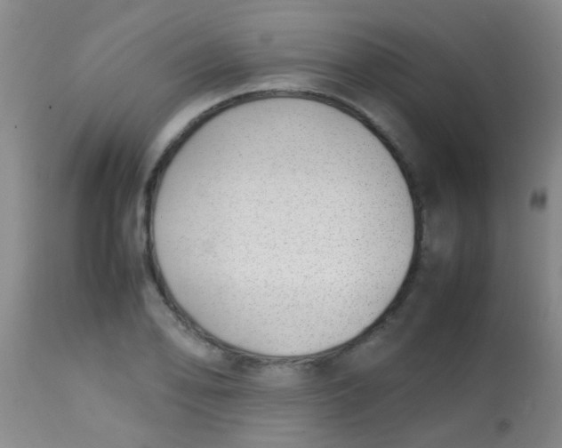 X0000113871078200910151254