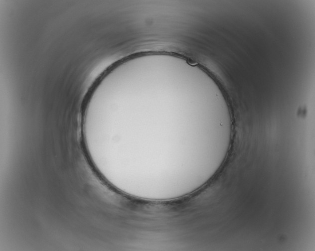 X0000113871079200910151254