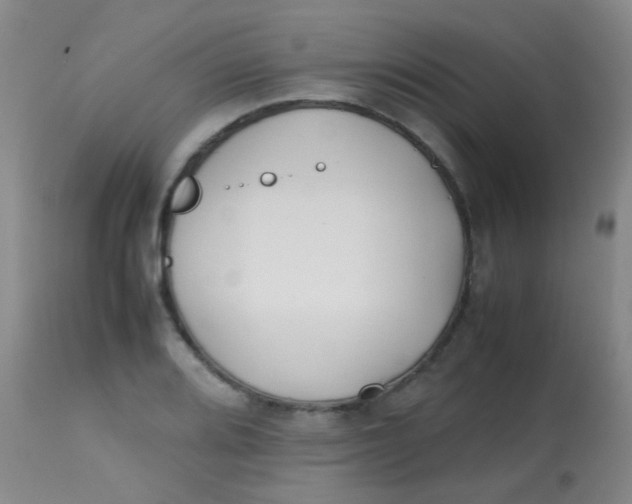 X0000113871080200910151254