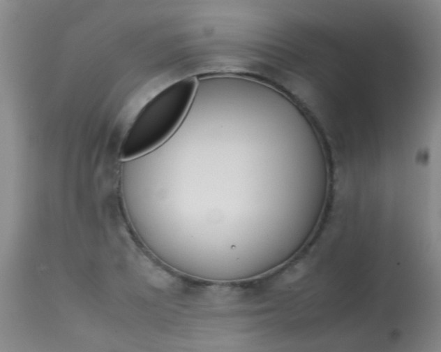 X0000113871081200910151254