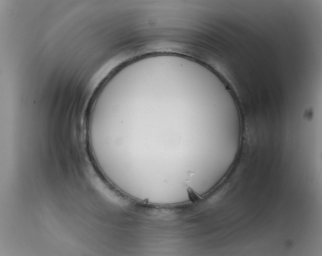 X0000113871082200910151254