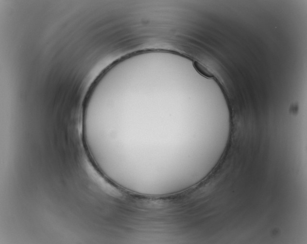 X0000113871084200910151254