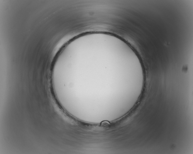 X0000113871085200910151254