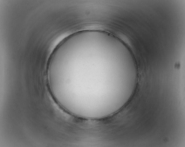 X0000113871087200910151254