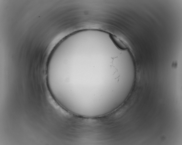 X0000113871088200910151254