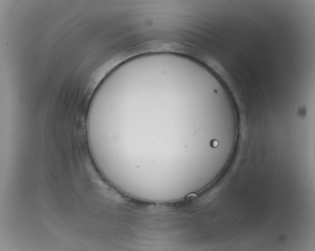 X0000113871089200910151254