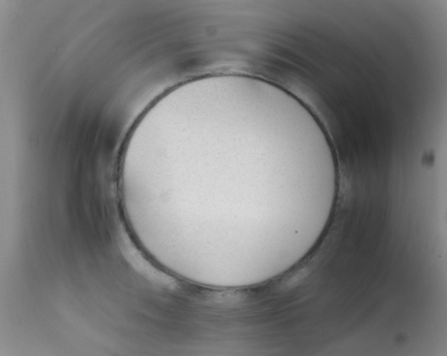 X0000113871090200910151254