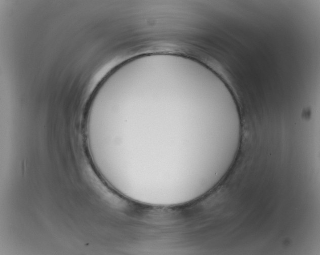 X0000113871091200910151254