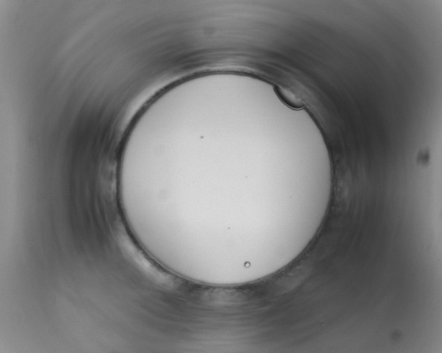 X0000113871092200910151254