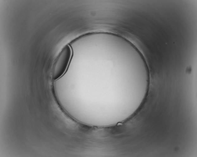 X0000113871093200910151254