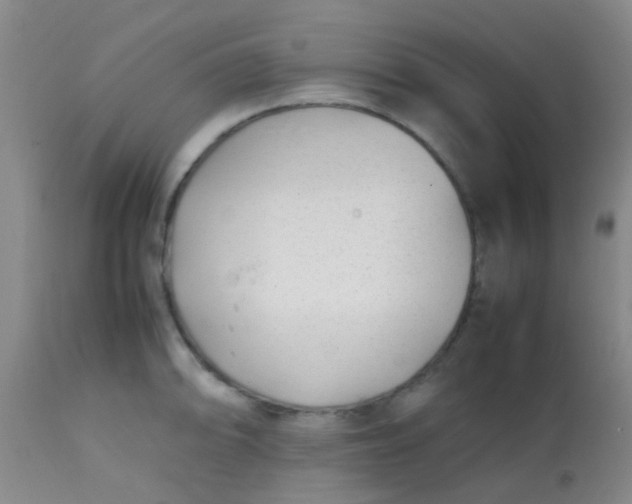 X0000113871094200910151254