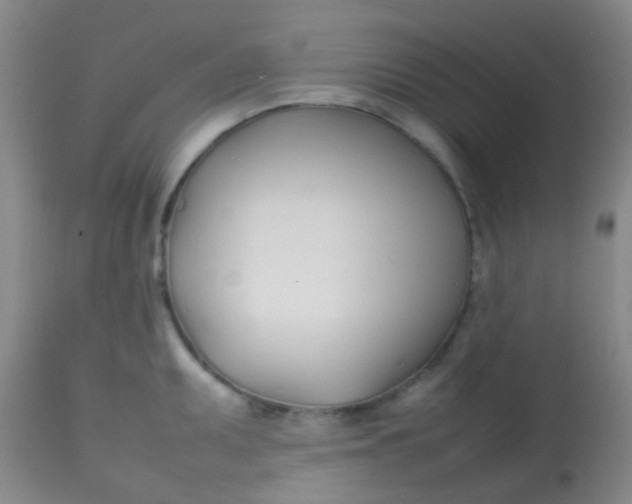 X0000113871095200910151254