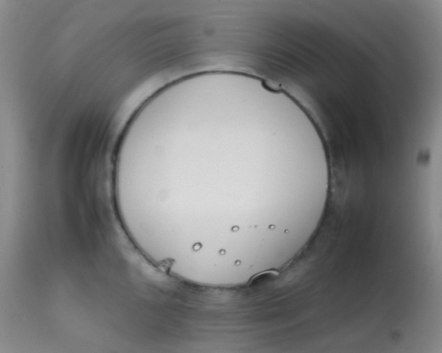 X0000113871096200910151254