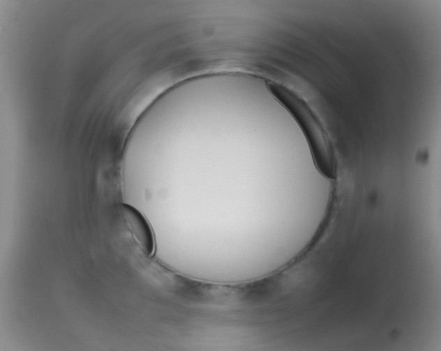 X0000113871097200910151254