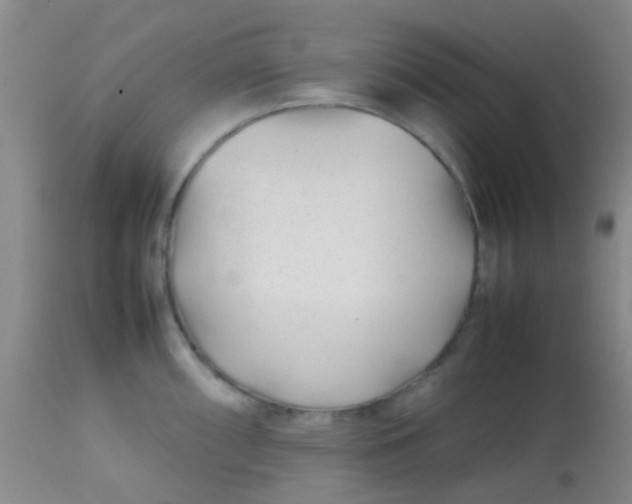 X0000113871098200910151254