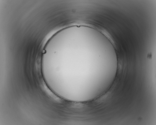 X0000113871100200910151254