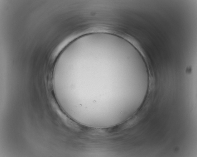 X0000113871101200910151254