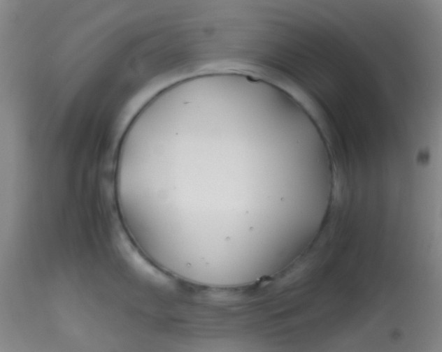 X0000113871102200910151254