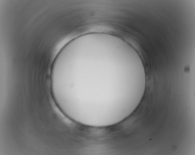 X0000113871103200910151254