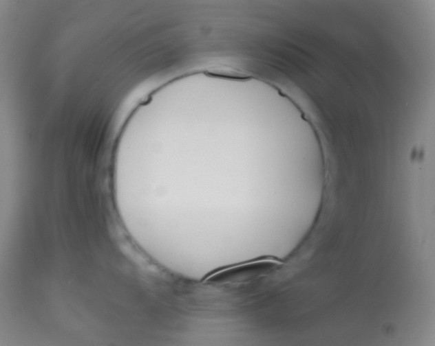 X0000113871104200910151254