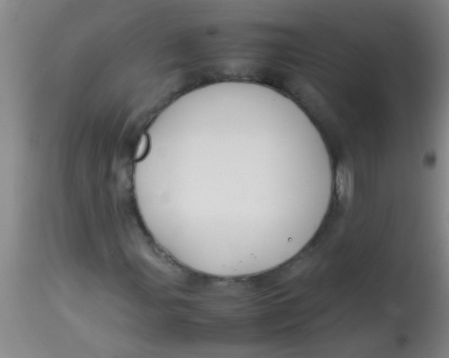 X0000113871107200910151253