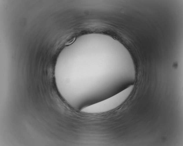 X0000113871108200910151253