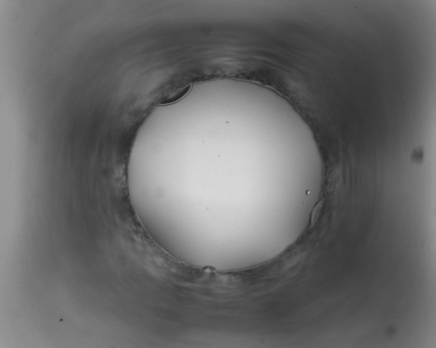 X0000113871109200910151253