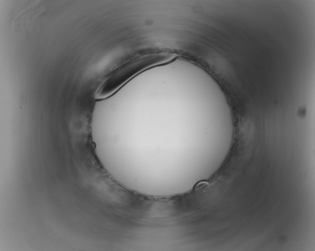 X0000113871110200910151253