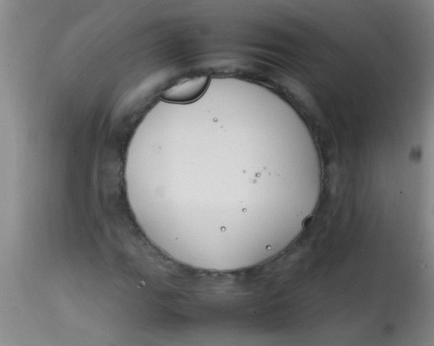 X0000113871111200910151253