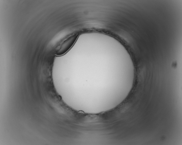 X0000113871112200910151253